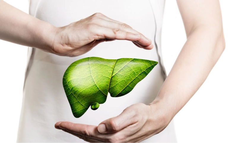 Zovost Liver Support Formula