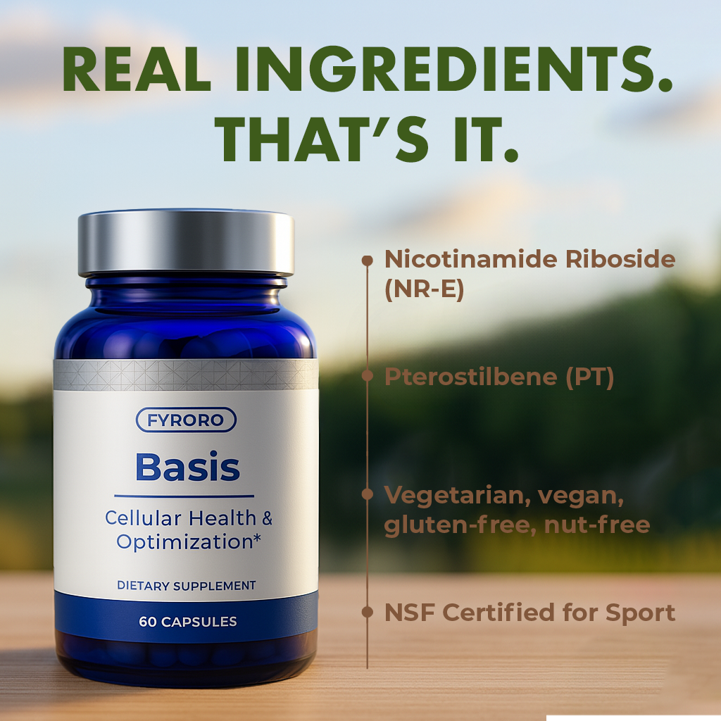 Basis