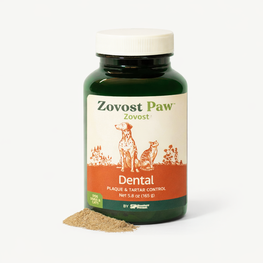 Zovost Dental Plaque & Tartar Control