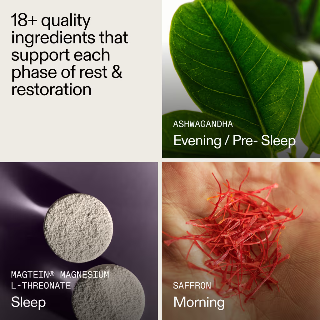 Zovost Nightly Sleep Support