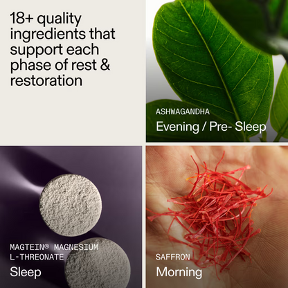 Zovost Nightly Sleep Support