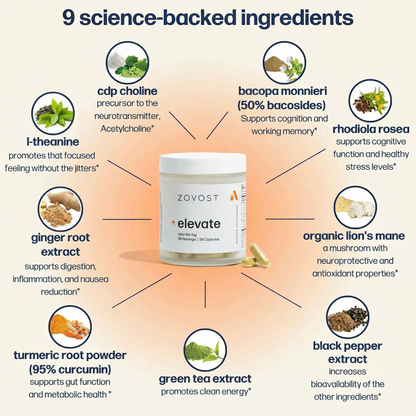 Zovost Nootropic