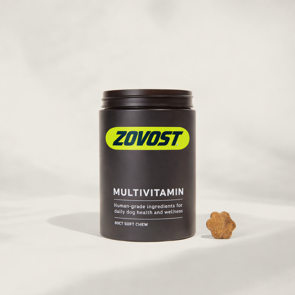 Daily Multivitamin