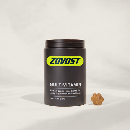 Daily Multivitamin