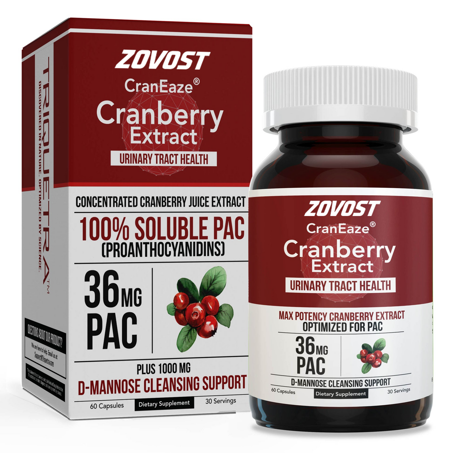 Zovost Cranberry Support