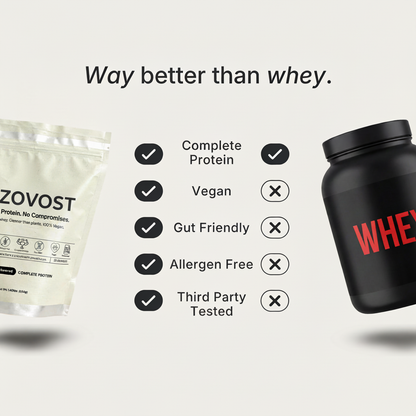 Zovost Protein | Vanilla Shake